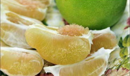 麻豆文旦,台湾特色水果的甜蜜诱惑