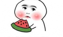 娱乐圈吃瓜明星沙雕动漫,沙雕明星与爆笑动漫的跨界狂欢